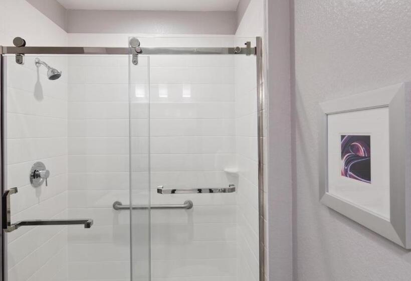 带大床的标准间, Best Western Plus Buda Austin Inn & Suites