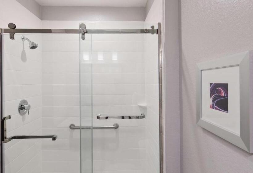 带大床的套房, Best Western Plus Buda Austin Inn & Suites