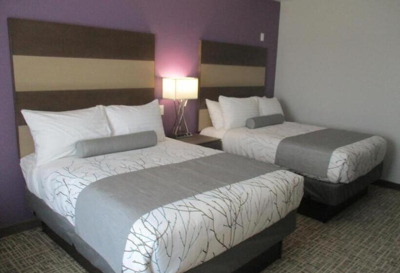 适合残疾人使用的标准间, Best Western Plus Buda Austin Inn & Suites