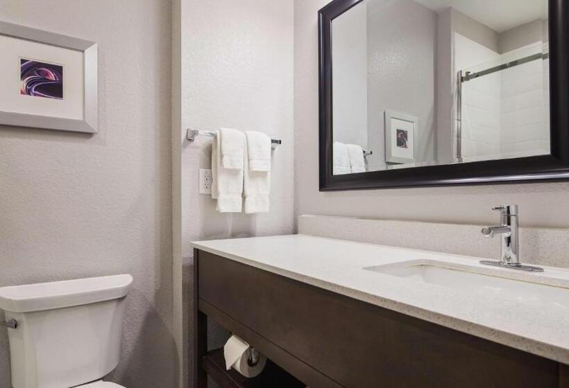 适合残疾人使用的标准间, Best Western Plus Buda Austin Inn & Suites