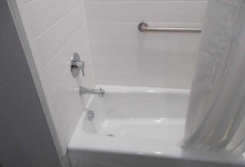 适合残疾人使用的标准间, Best Western Plus Buda Austin Inn & Suites