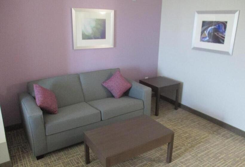 适合残疾人士使用的套间, Best Western Plus Buda Austin Inn & Suites