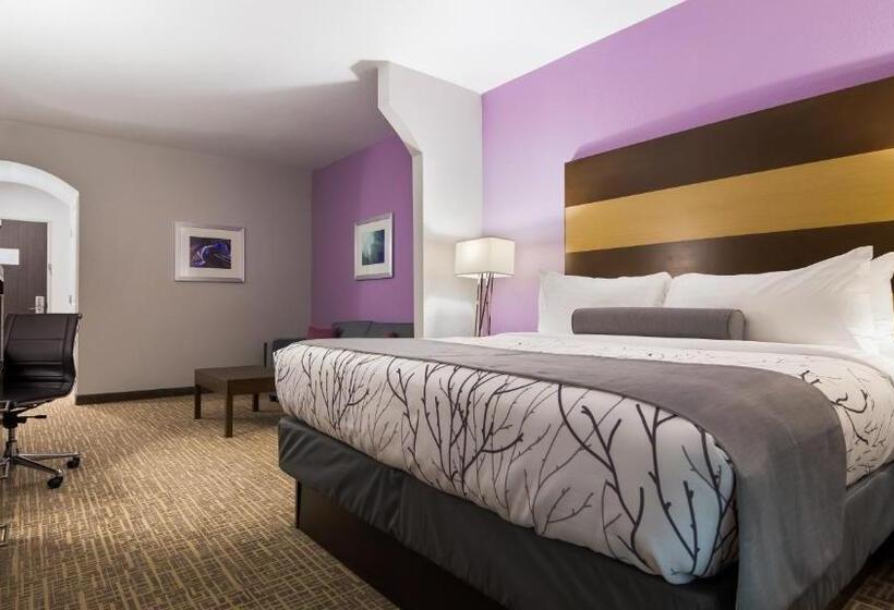 适合残疾人士使用的套间, Best Western Plus Buda Austin Inn & Suites