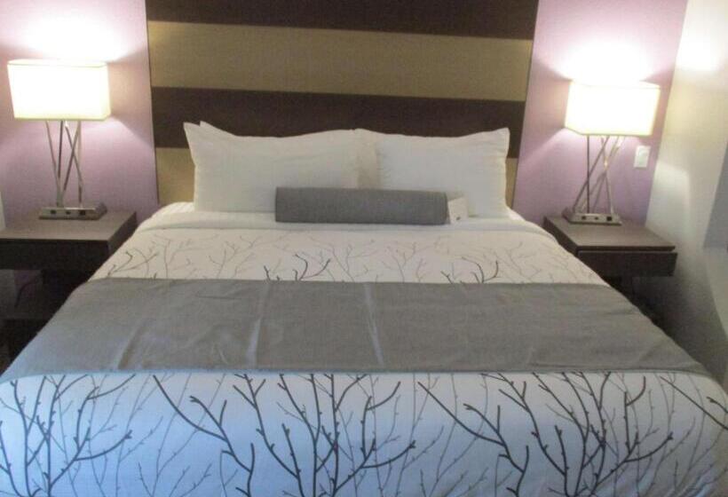 适合残疾人士使用的套间, Best Western Plus Buda Austin Inn & Suites