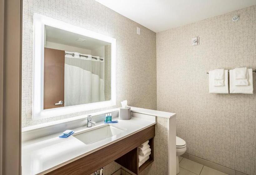 Номер Стандарт, Holiday Inn Express & Suites Platteville, An Ihg