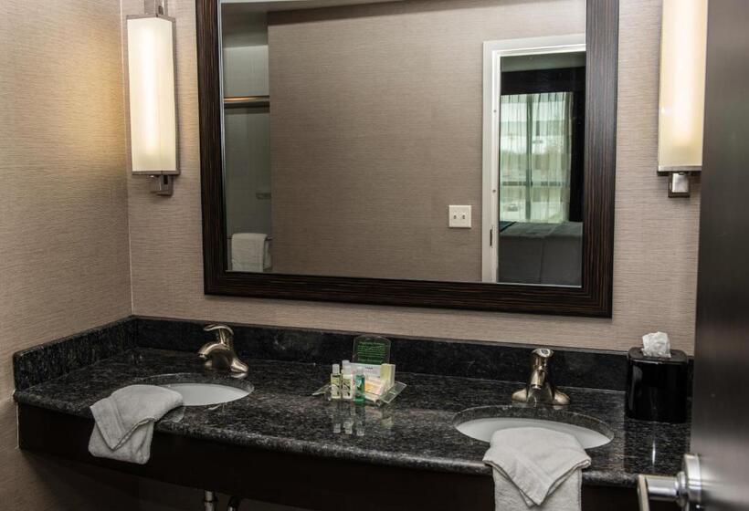 Стандартный Номер Кровать Кинг, Holiday Inn Paducah Riverfront, An Ihg