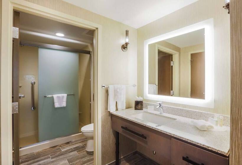 套房, Homewood Suites By Hilton Charleston Historic District