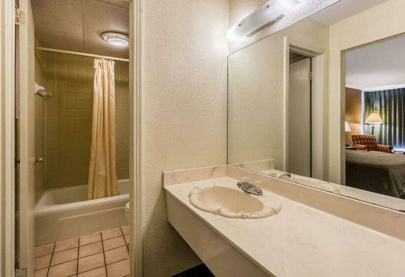 带大床的标准间, Rodeway Inn Denmarkjackson
