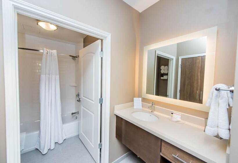 ２ベッドスイートルーム, Staybridge Suites Houston   Humble Beltway 8 E, An Ihg