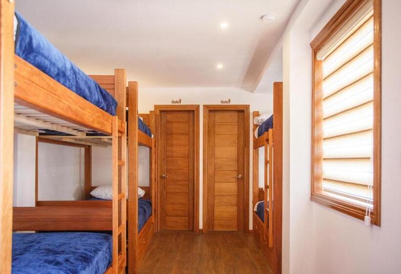 Кровать в Общей Комнате, Community Hostel Alausi