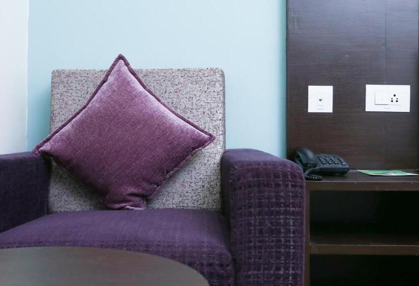 Номер Стандарт, Treebo C Plaza