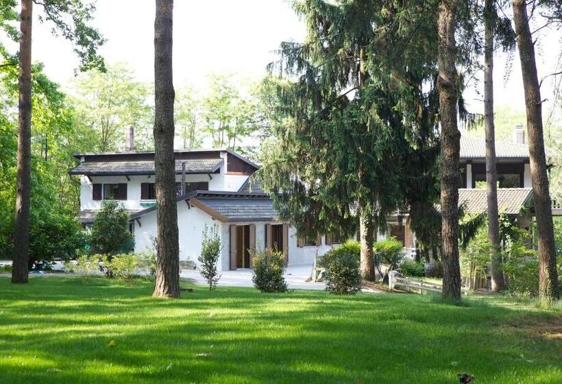 Номер Стандарт, Sant'anna