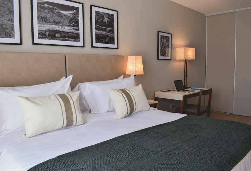 수피리어 룸, Cyan Soho Neuquen