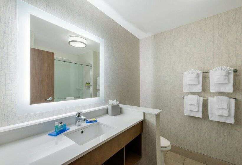 Standart Oda, Holiday Inn Express & Suites Alachua   Gainesville Area, An Ihg