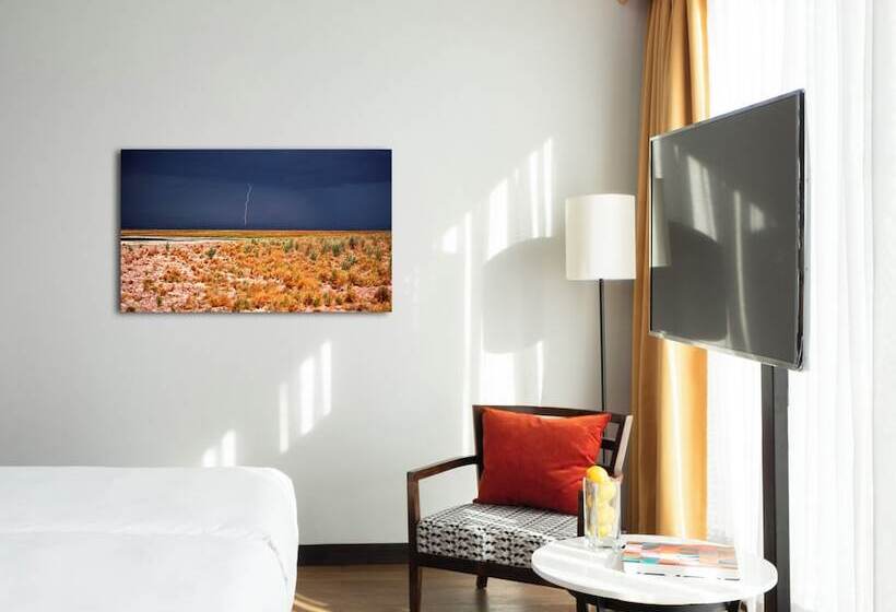 اتاق لوکس, Debaines Hotel Santiago