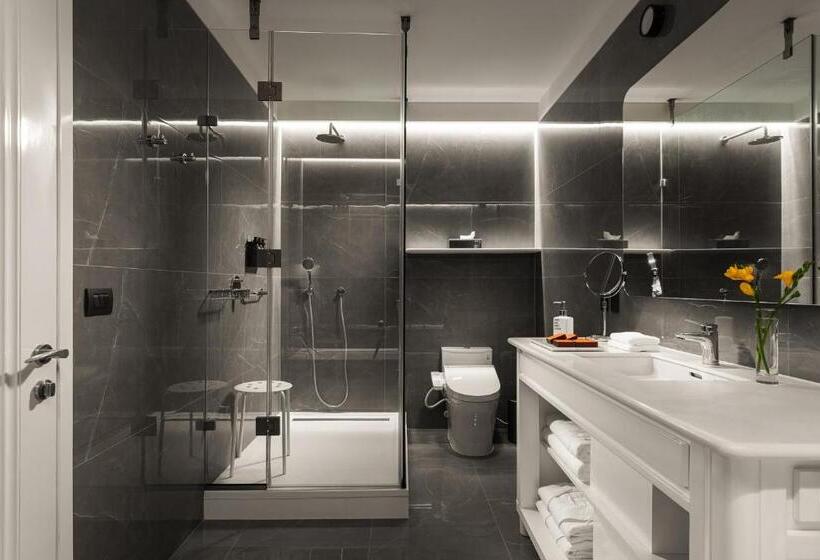 اتاق سوپریور با تخت بزرگ, Debaines Hotel Santiago