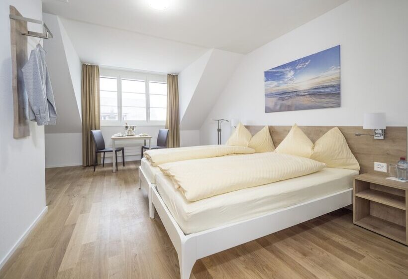 스탠다드 스튜디오, Aparthotel Bären