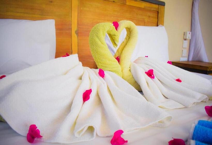 اتاق استاندارد با تخت بزرگ, Kikoi Boutique