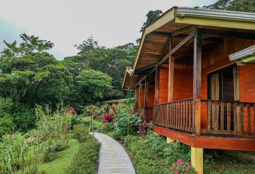 חדר סופריור לארבעה, Heliconias Rainforest Lodge