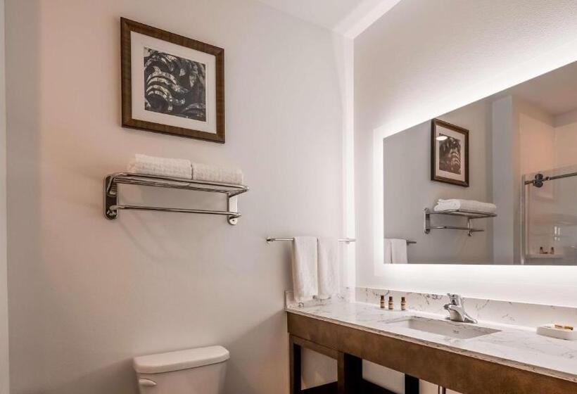 Стандартный Номер Кровать Кинг, Best Western Plus New Richmond Inn & Suites