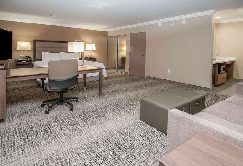 스탠다드 룸 킹사이즈 침대, Hampton Inn & Suites Rocky Hillhartford South