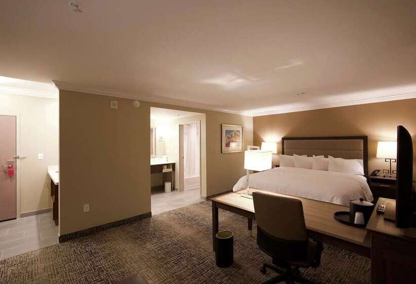 스탠다드 룸 킹사이즈 침대, Hampton Inn & Suites Rocky Hillhartford South