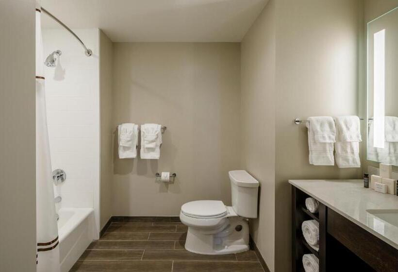 带大床的复式套间, Madison & Shenandoah Conference Ctr