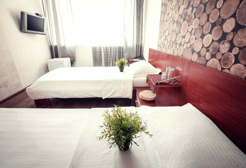 آپارتمان کلاسیک 1 خوابه, Park Hotel Shishka