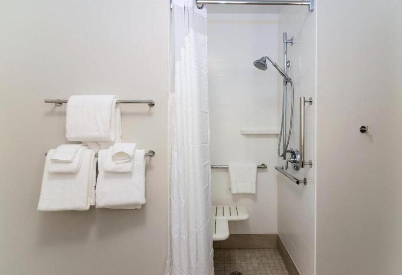 Номер Стандарт Кровать Кинг Адаптированный для Инвалидов, Holiday Inn Express & Suites Allen Park, An Ihg