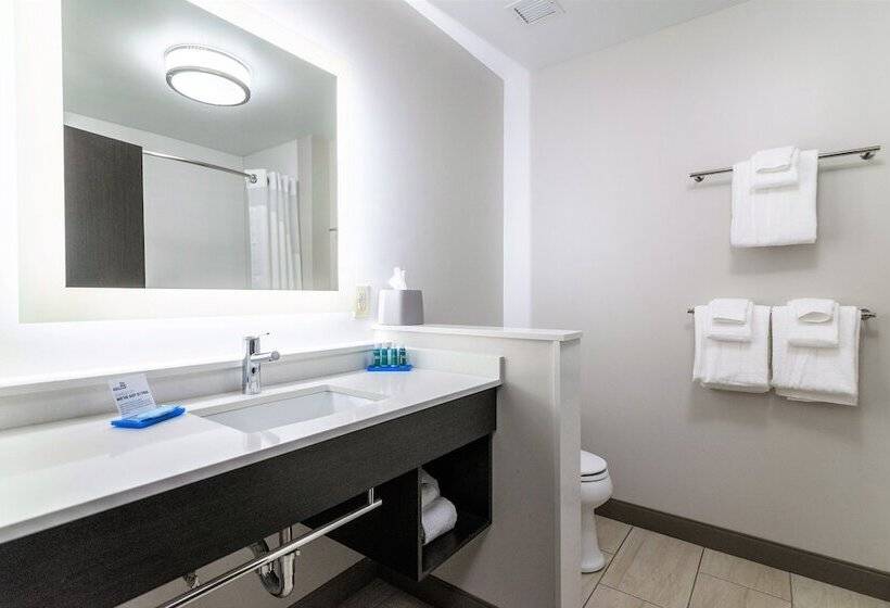 Номер Стандарт, Holiday Inn Express & Suites Allen Park, An Ihg