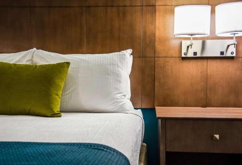 标准间, Best Western Plus Bolivar Hotel & Suites