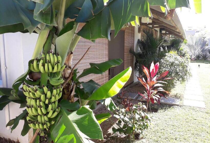 استودیو استاندارد با چشم‌انداز استخر, Le Mandala Moris Guesthouse