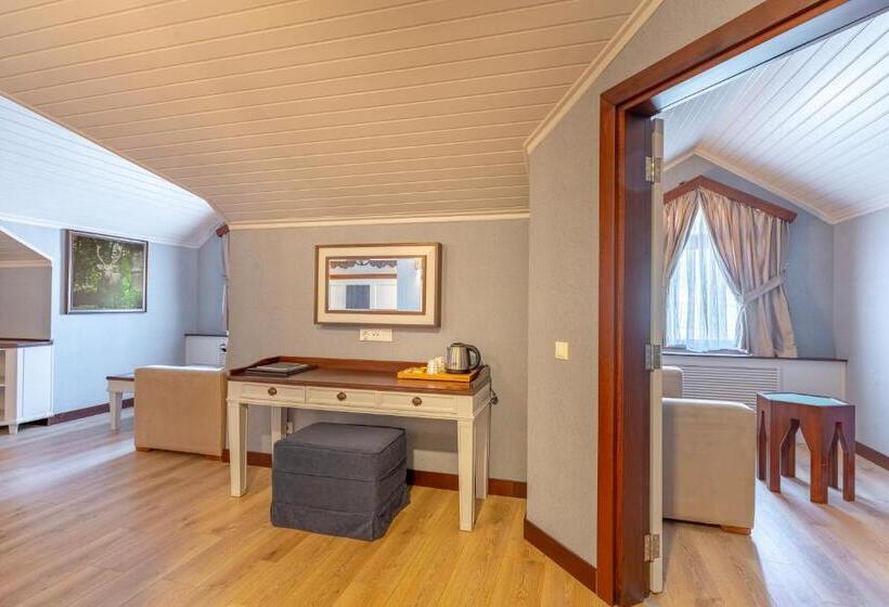 Comfort Room, Mirada Del Lago