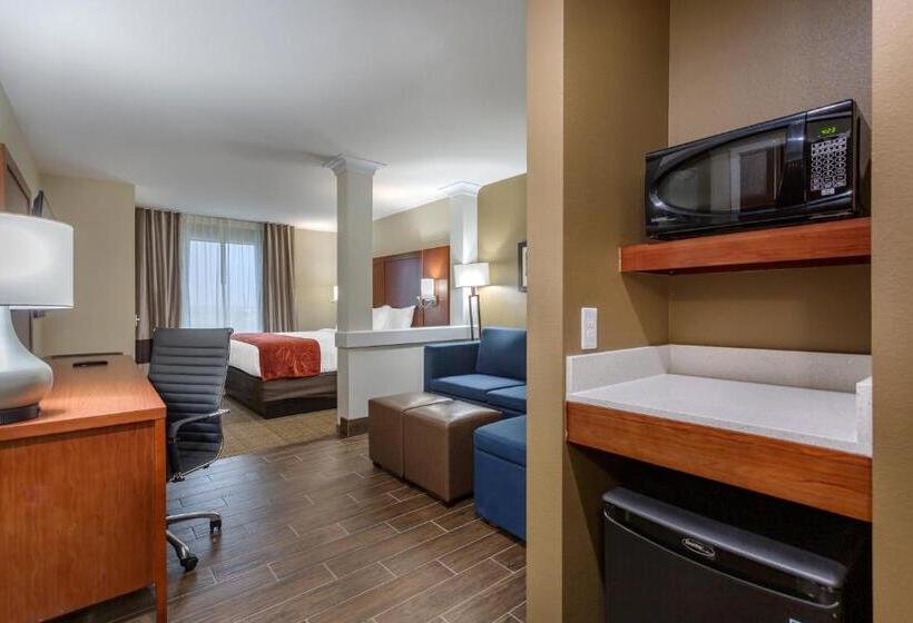 Люкс Адаптированный для Инвалидов, Comfort Suites