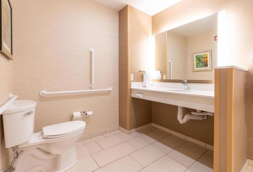 스탠다드 룸 킹사이즈 침대, Fairfield Inn & Suites By Marriott Somerset