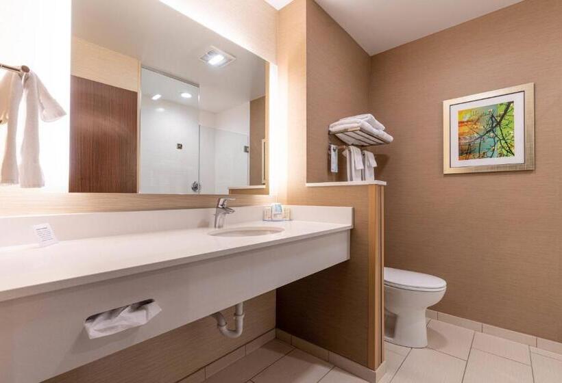 스탠다드 룸 킹사이즈 침대, Fairfield Inn & Suites By Marriott Somerset
