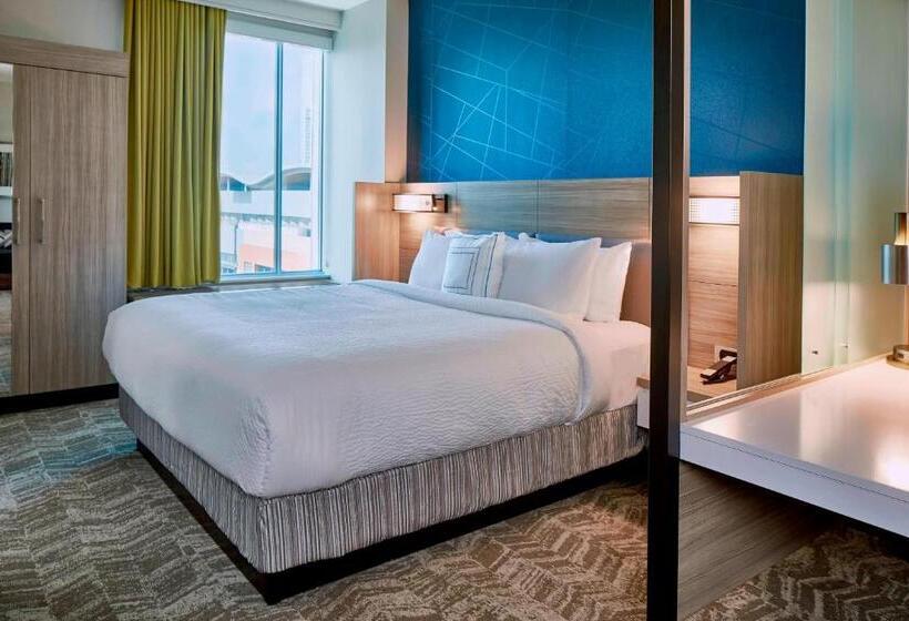 Suite King Size Bed, Springhill Suites By Marriott Nashville Downtown/convention Center