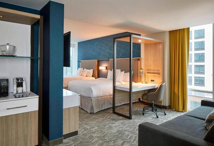 Mozgáskorlátozott Suite, Springhill Suites By Marriott Nashville Downtown/convention Center