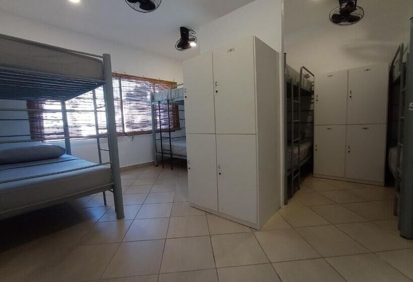 تختخواب در اتاق مشترک, 3b Wellness Hotel & Hostel