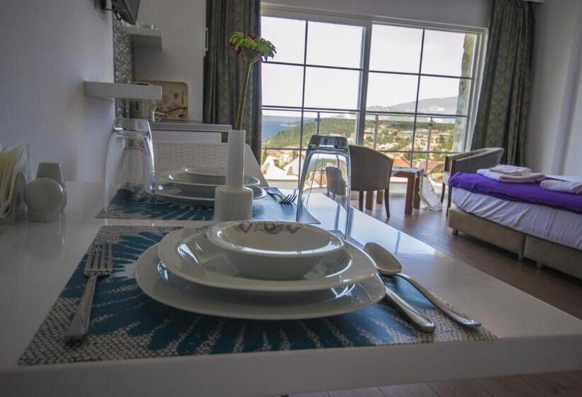 اتاق لوکس, Kelebek Studio Apartments