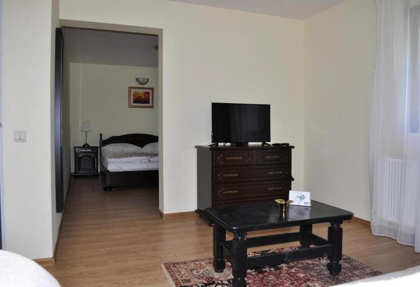 Номер Deluxe, Vila Felix