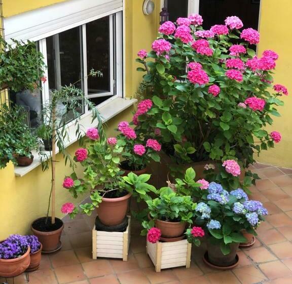 Четырехместный Номер Стандарт, Hostal Escartín