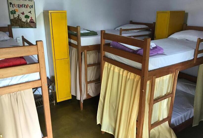 Кровать в Общей Комнате, Buddy's Hostel & Pousada Alto Paraiso