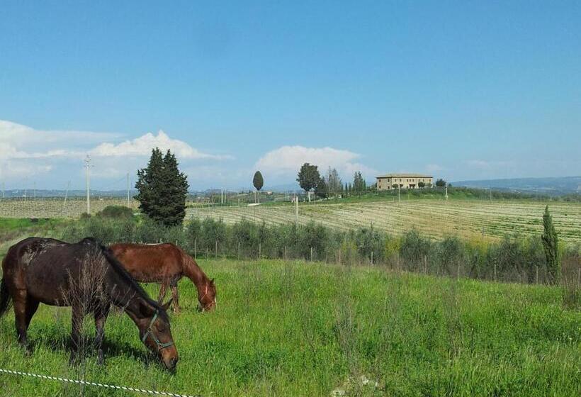 Апартаменты 5 спален, Agriturismo Macinatico