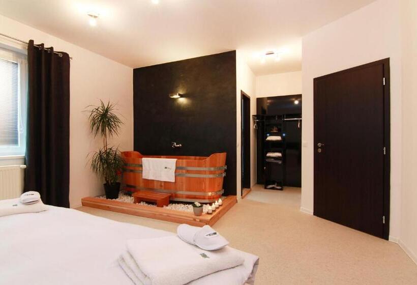 اتاق استاندارد با تخت بزرگ, Jbi Wellness