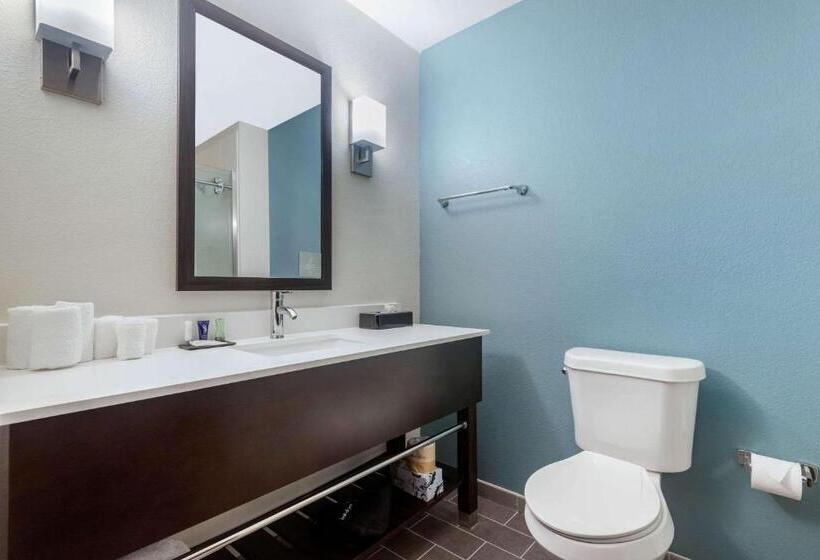 Номер Стандарт, Sleep Inn & Suites Bricktown   Near Medical Center