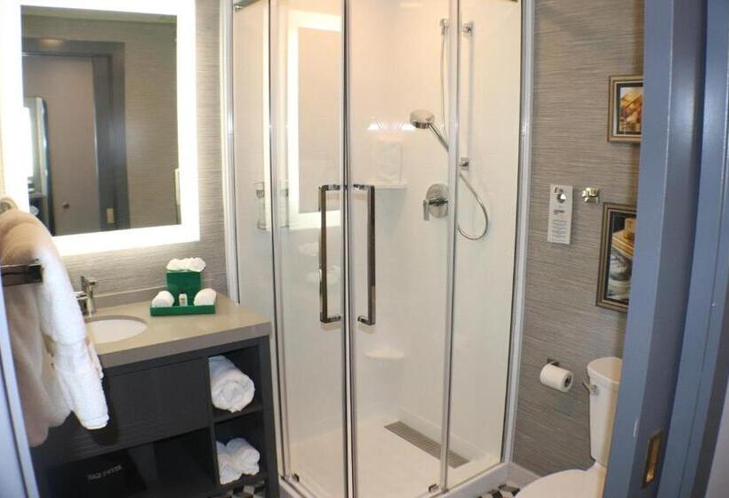 חדר דחוקס עם מיטת קינג, Indigo   St. Louis   Downtown, An Ihg