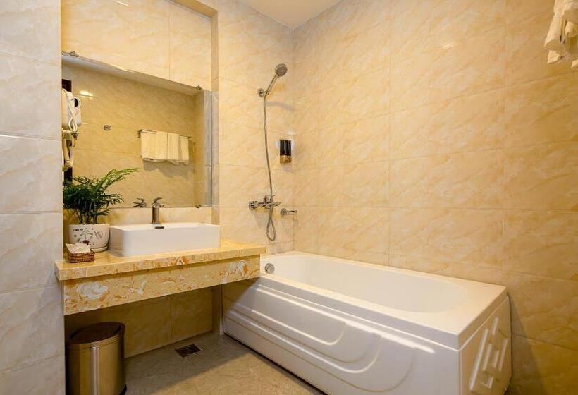 اتاق لوکس, Roliva Hotel & Apartment Danang