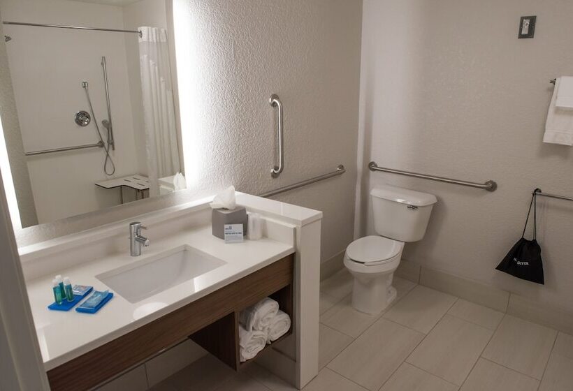 Номер Стандарт, Holiday Inn Express & Suites   Orland Park Mokena, An Ihg
