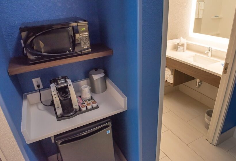 身障者適用スイートルーム, Holiday Inn Express & Suites   Orland Park Mokena, An Ihg